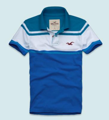 Hollister Men Shirts-449